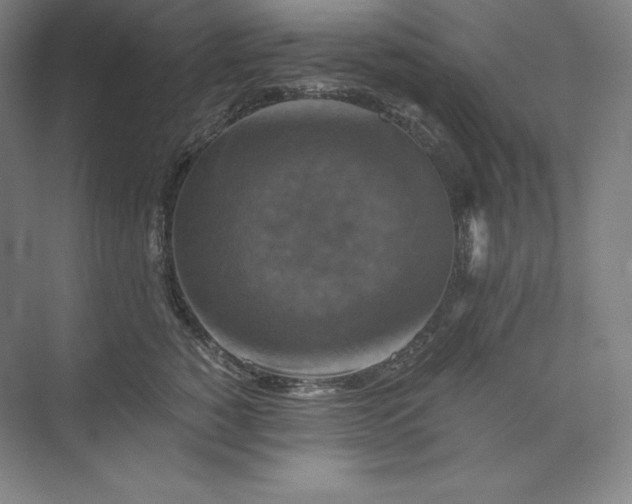 X0000074000760200609061023