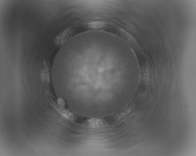 X0000074000762200609061023