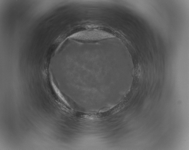 X0000074000763200609061023