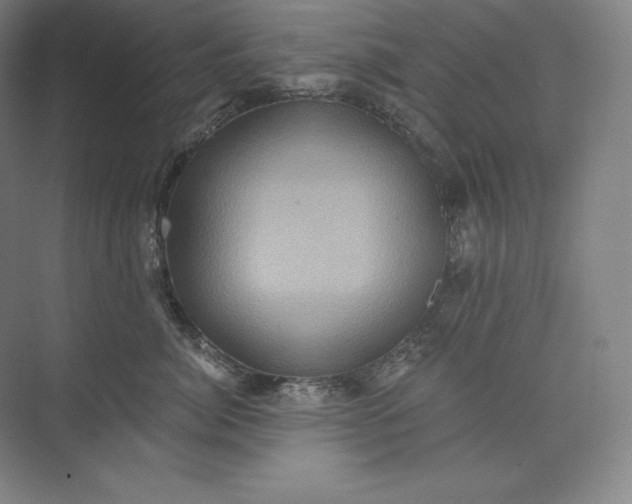 X0000074000764200609061023