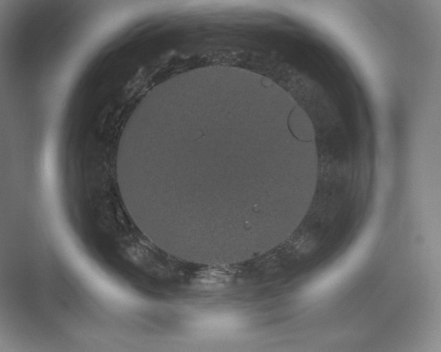 X0000074000765200609061023