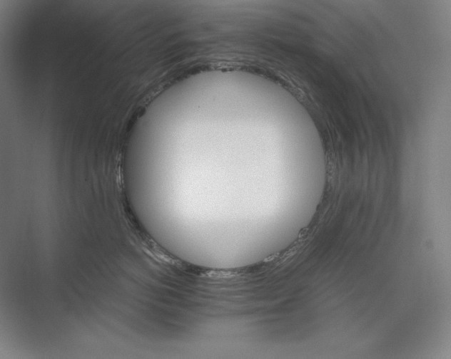 X0000074000766200609061023