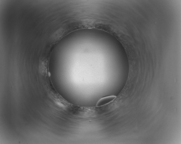 X0000074000768200609061023