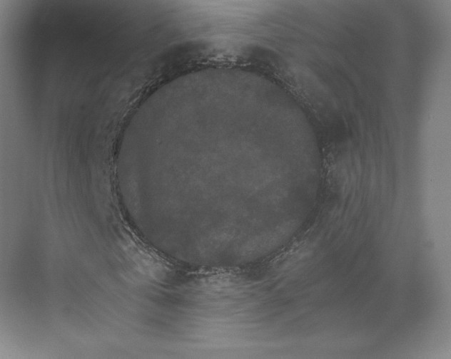 X0000074000769200609061023