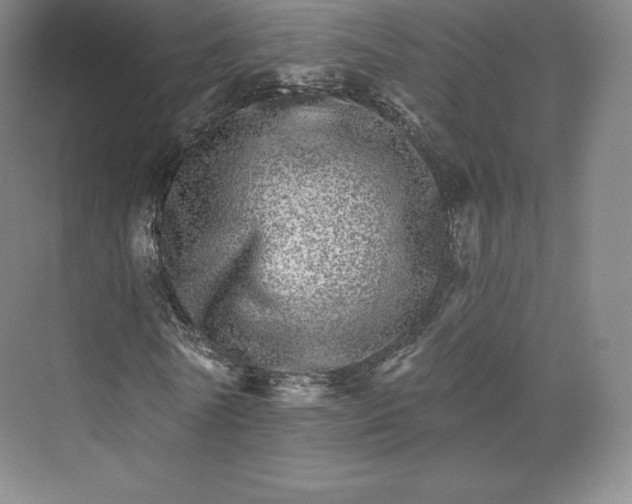 X0000074000770200609061023