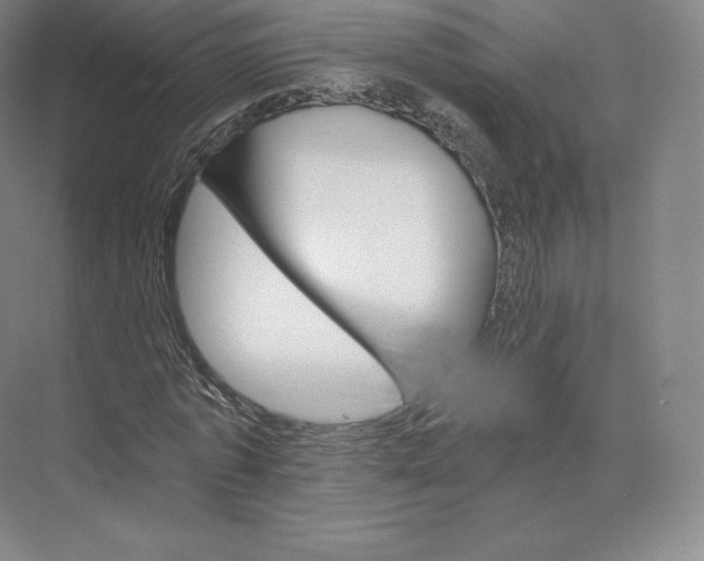 X0000074000773200609061023