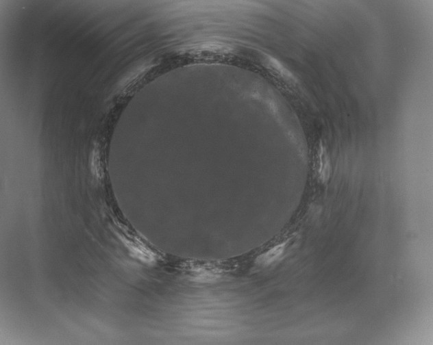 X0000074000774200609061023