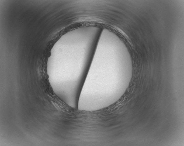 X0000074000775200609061022