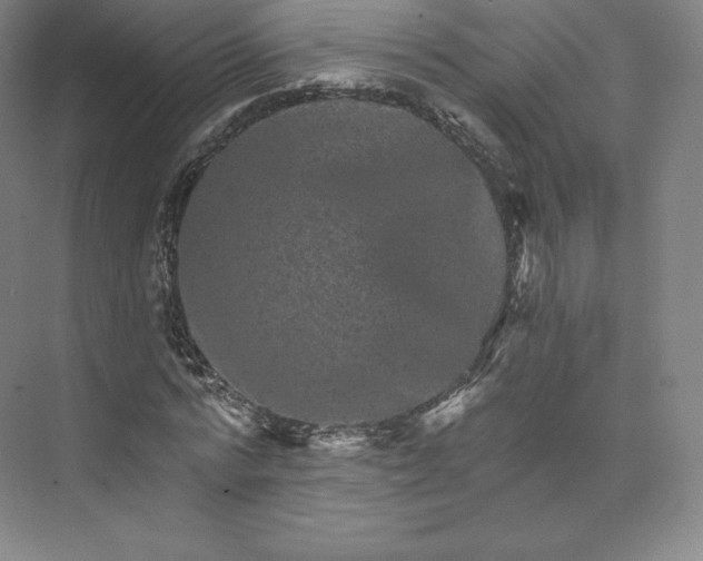 X0000074000776200609061022