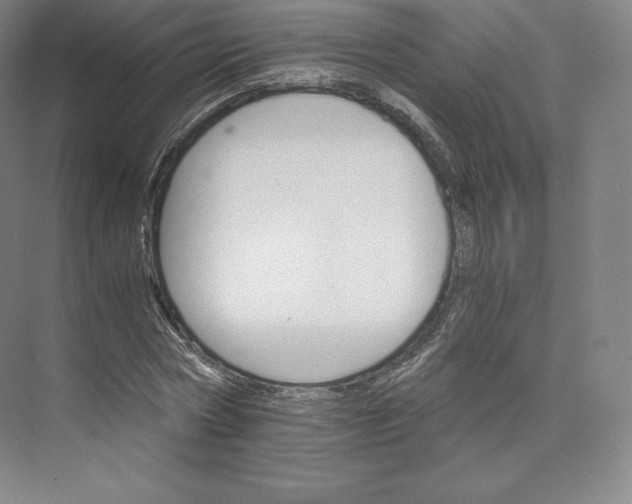 X0000074000778200609061022