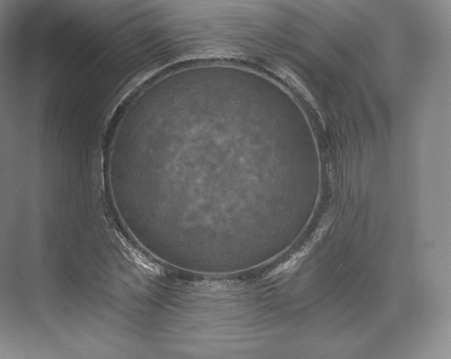 X0000074000781200609061022