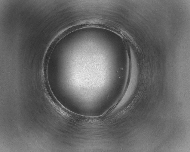 X0000074000784200609061022