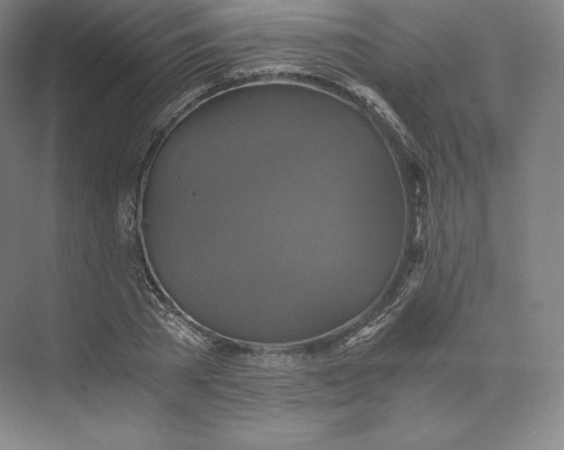 X0000074000785200609061022