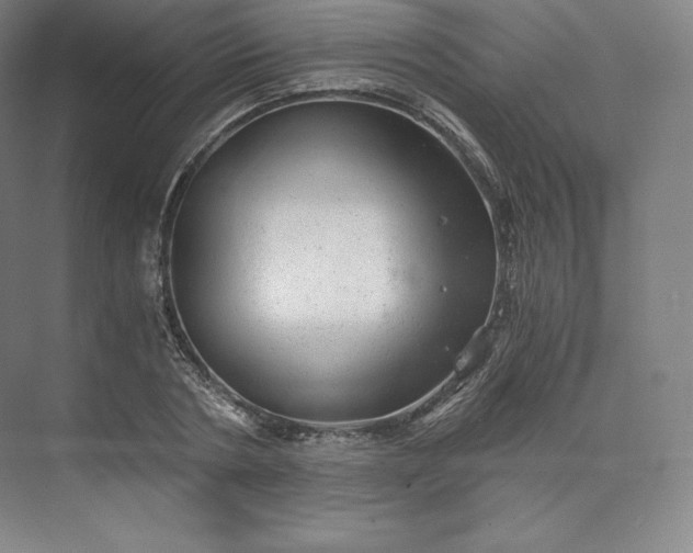 X0000074000786200609061022