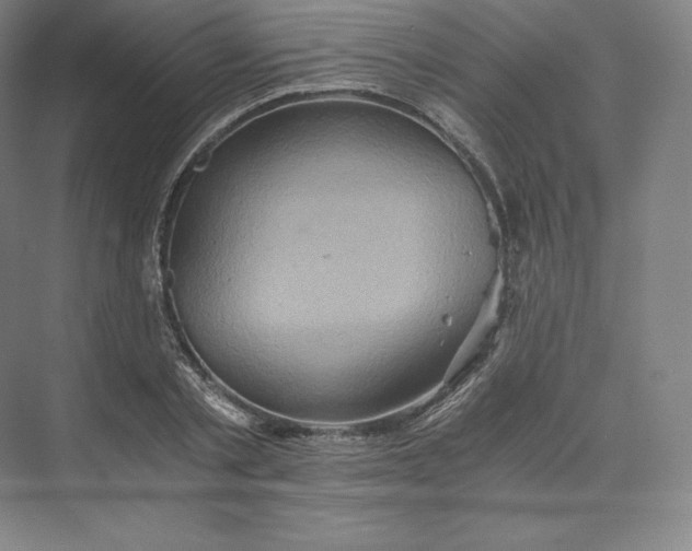 X0000074000789200609061022