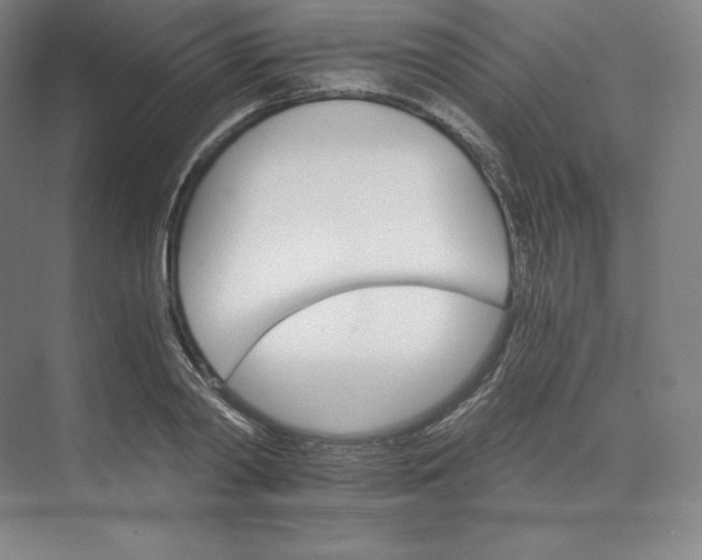 X0000074000790200609061022