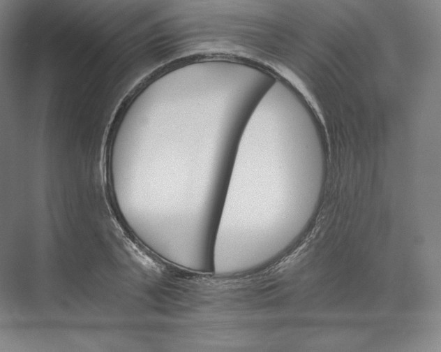 X0000074000791200609061022