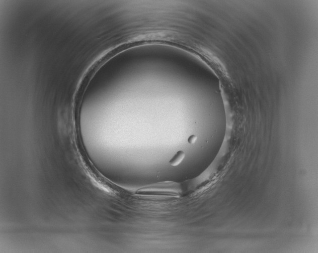 X0000074000792200609061022