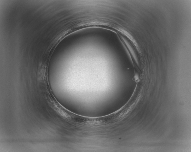 X0000074000793200609061022