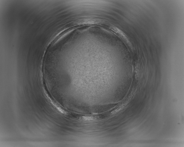 X0000074000794200609061022