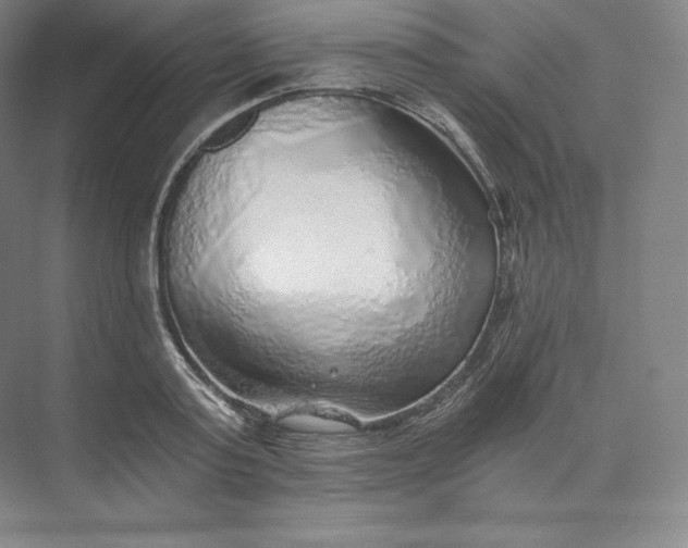 X0000074000795200609061022