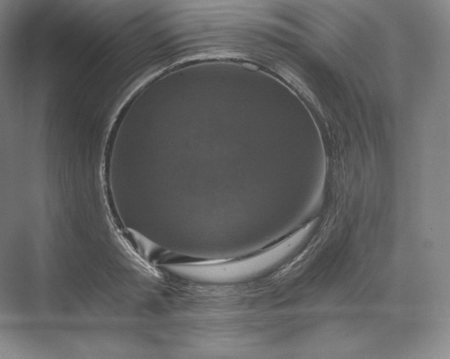 X0000074000797200609061022