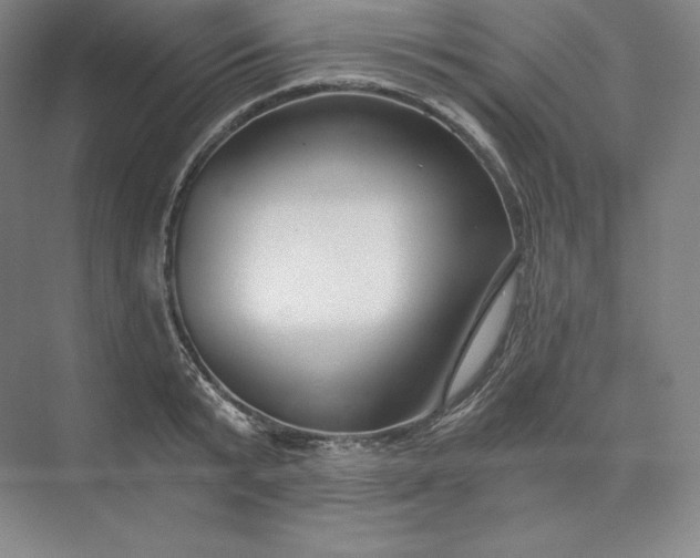 X0000074000799200609061022