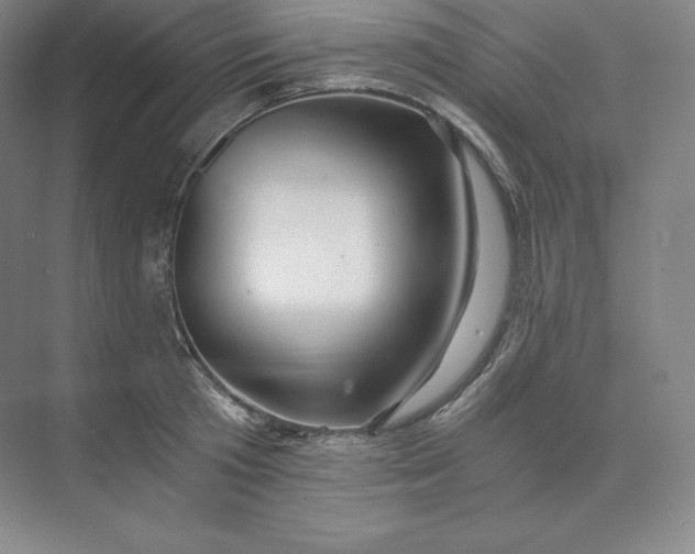 X0000074000801200609061022