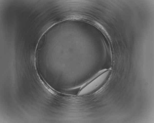 X0000074000802200609061022