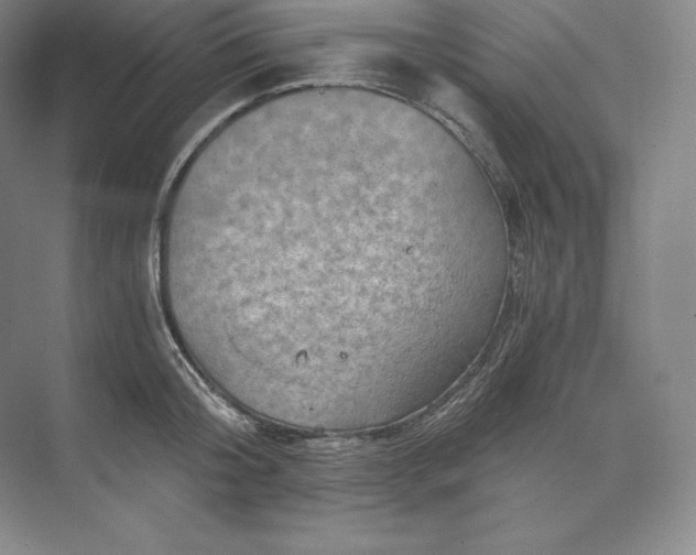 X0000074000804200609061022