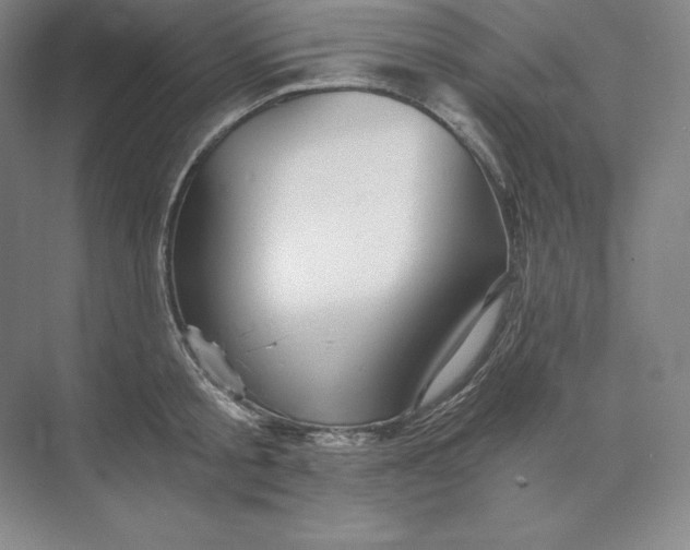 X0000074000805200609061022