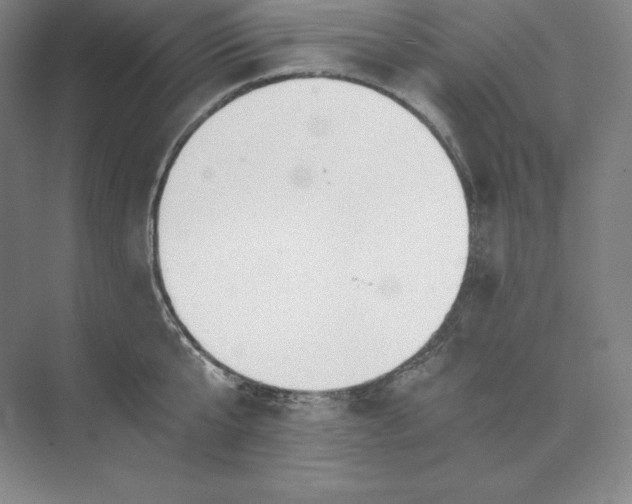 X0000074000807200609061022