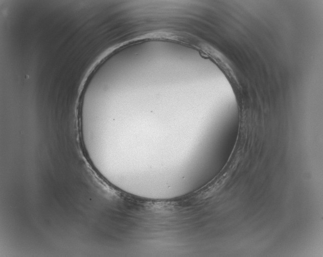 X0000074000808200609061022