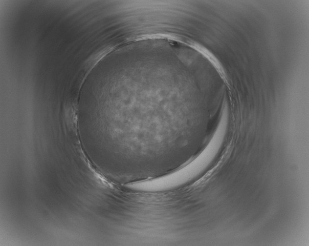 X0000074000809200609061022