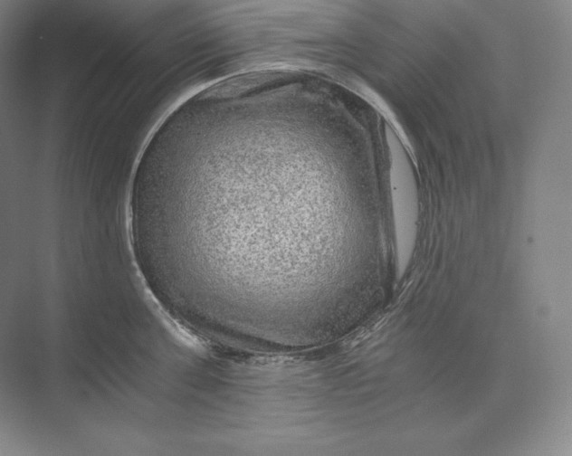 X0000074000811200609061022