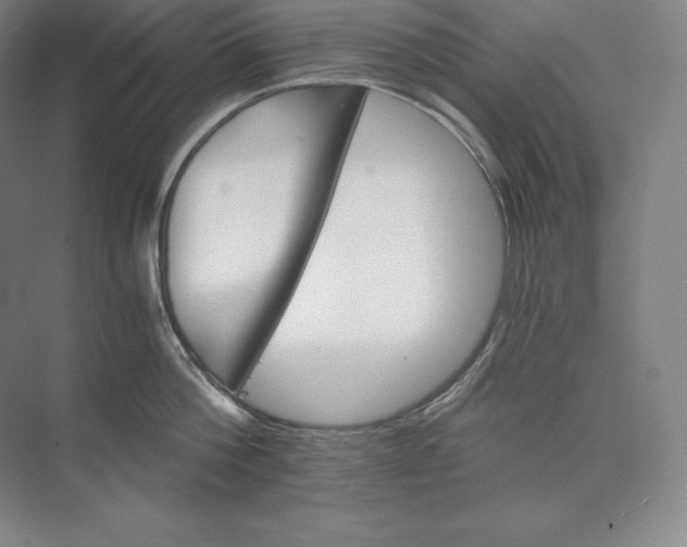 X0000074000812200609061022