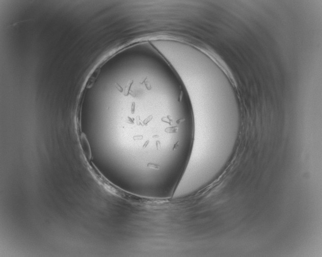 X0000074000813200609061022