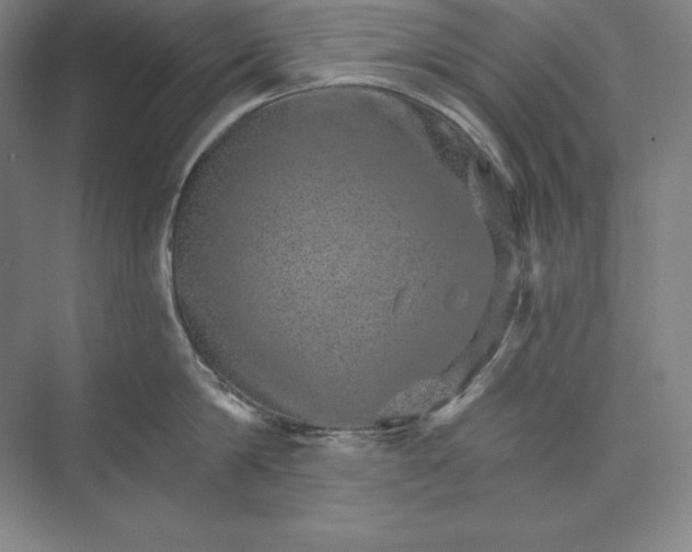 X0000074000814200609061022