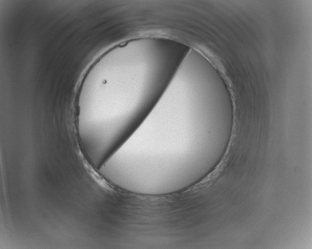 X0000074000816200609061022