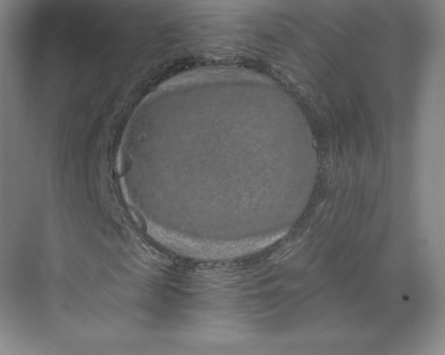 X0000074000817200609061021