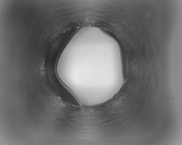 X0000074000818200609061021