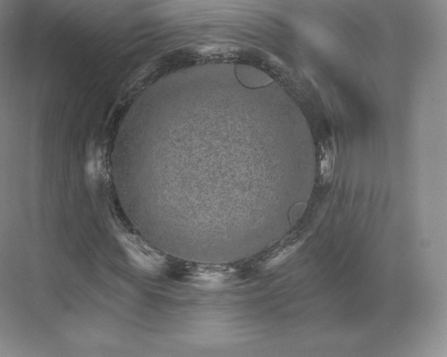 X0000074000819200609061021