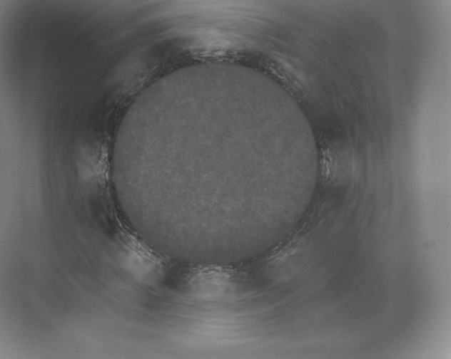 X0000074000820200609061021