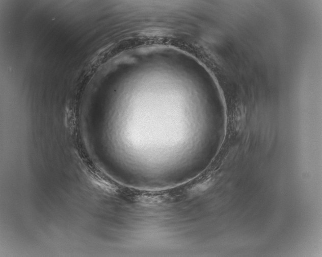 X0000074000821200609061021