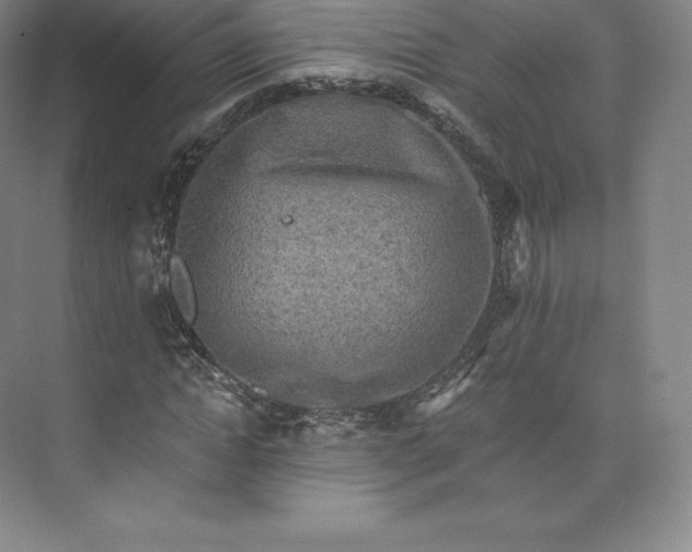 X0000074000822200609061021