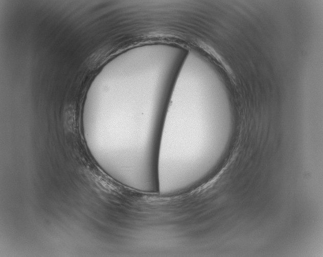 X0000074000825200609061021