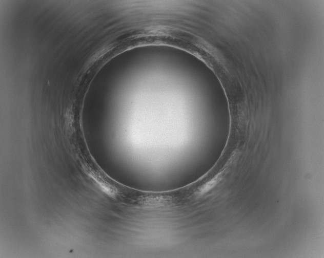 X0000074000826200609061021