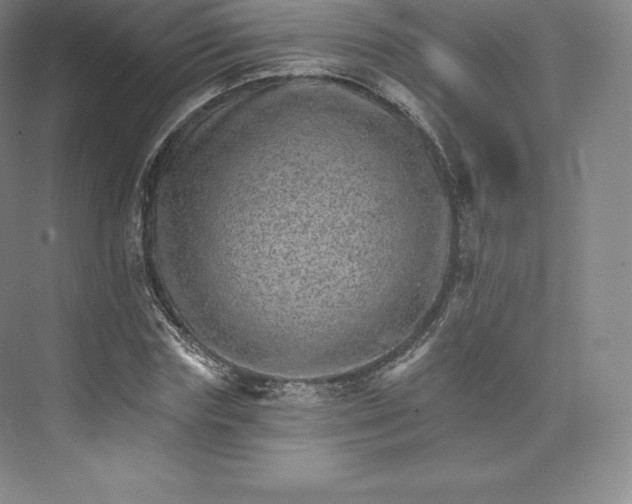 X0000074000827200609061021