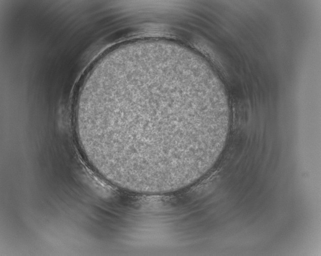 X0000074000828200609061021