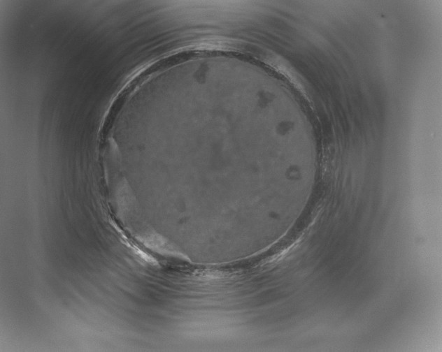 X0000074000829200609061021